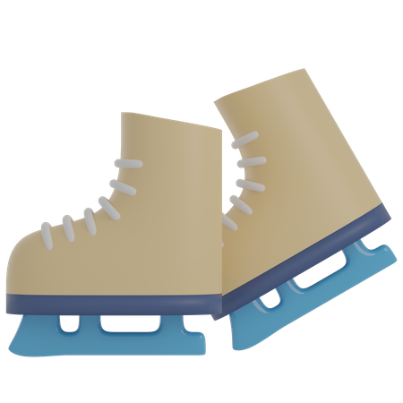 Ice Skate Shoes  3D Illustration