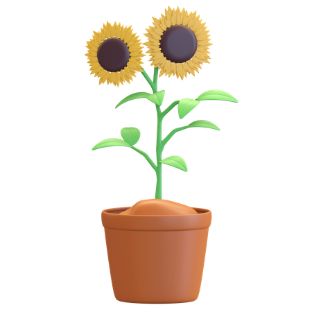 Flor do sol no ícone do pote  3D Illustration