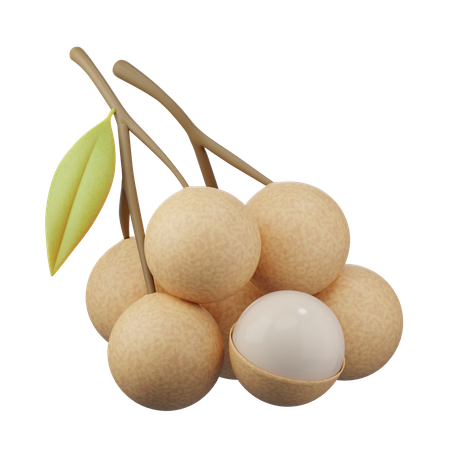 Icono 3d de longan  3D Icon