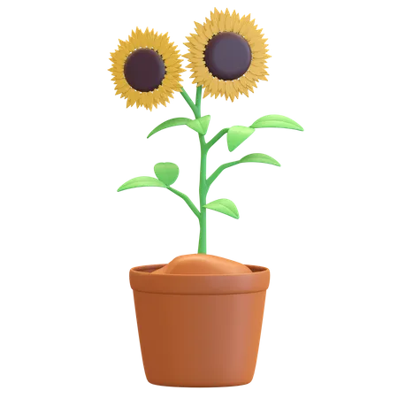 Icono de flor de sol en maceta  3D Illustration
