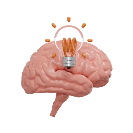 Idée de cerveau  3D Icon