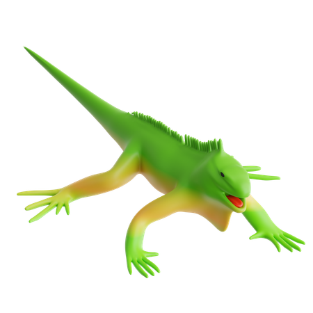 Iguana  3D Icon