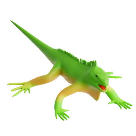 Iguana  3D Icon