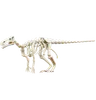 Iguanodon