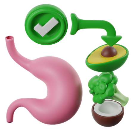 Improve Stomach Health  3D Icon