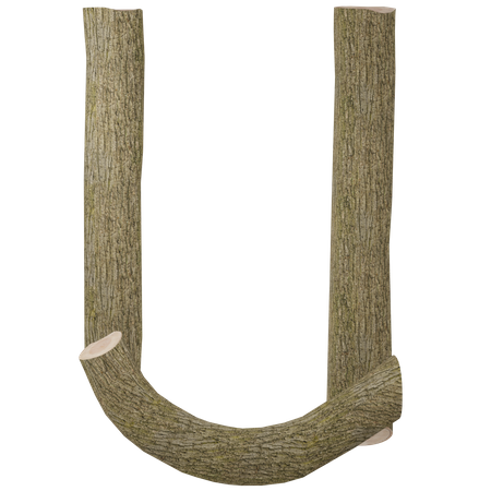 In  3D Icon