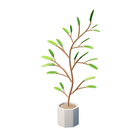 Inch Plant  3D Icon
