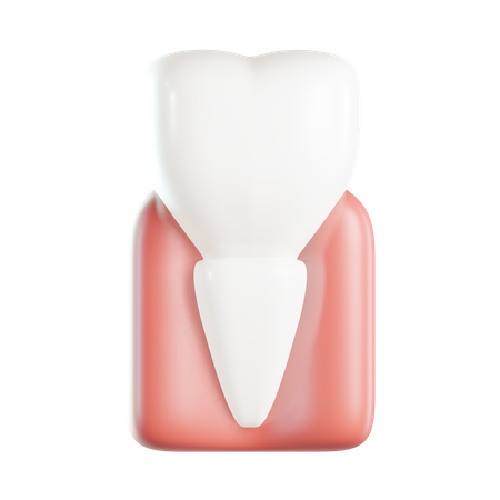 Incisor  3D Icon