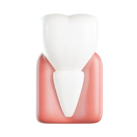 Incisor  3D Icon