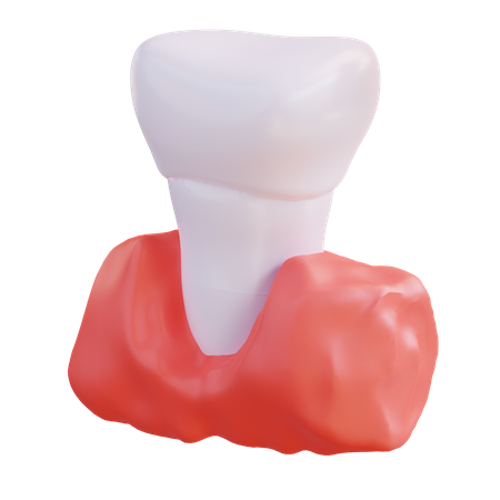 Incisor Tooth  3D Icon