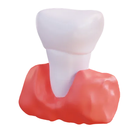 3 D Illustration Of Teeth And Gums 3D Icon