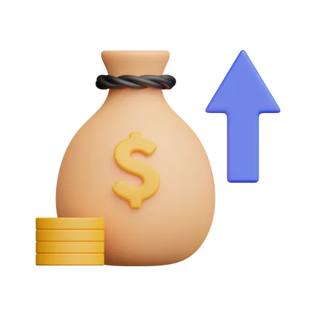 Income  3D Icon