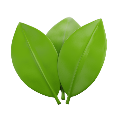 Indonesian Bay Leaf  3D Icon