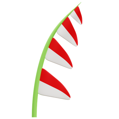 Indonesian Flag  3D Icon