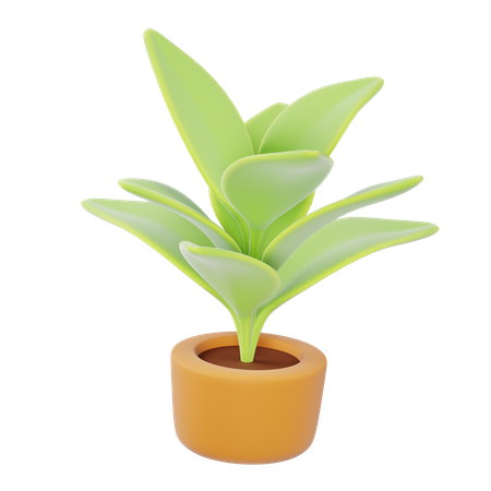 Indoor Plant  3D Icon