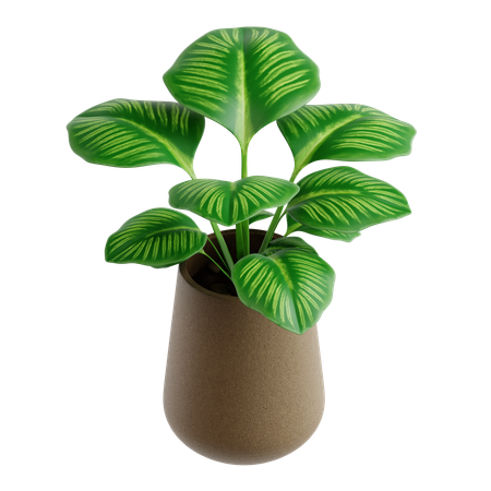 Indoor Plant  3D Icon