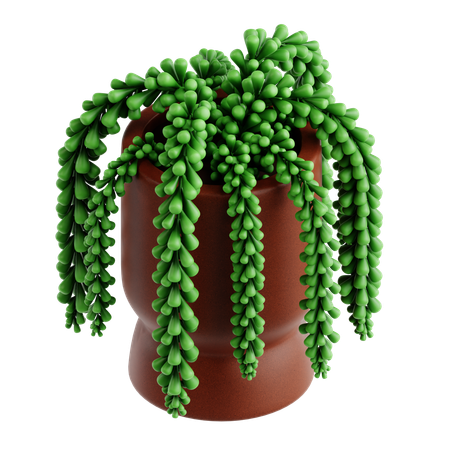 Indoor Plant  3D Icon