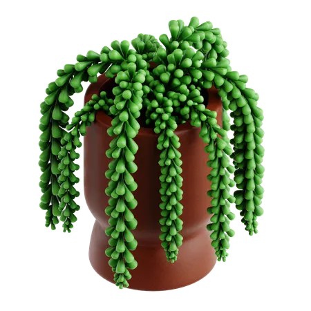 Indoor Plant  3D Icon