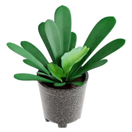 Indoor Plant  3D Icon