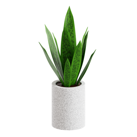Indoor Plant  3D Icon