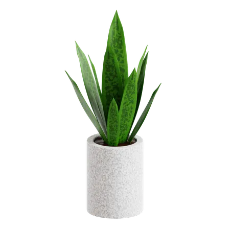 Indoor Plant  3D Icon