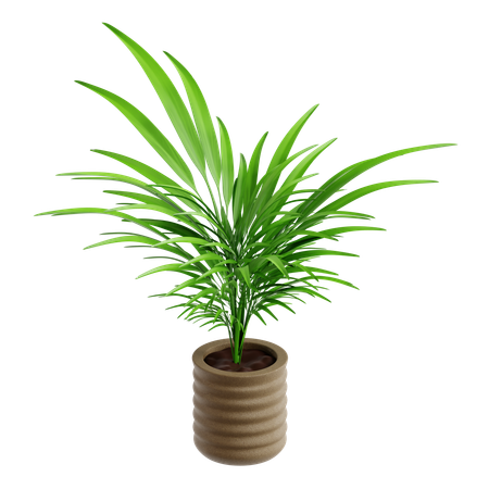Indoor Plant  3D Icon