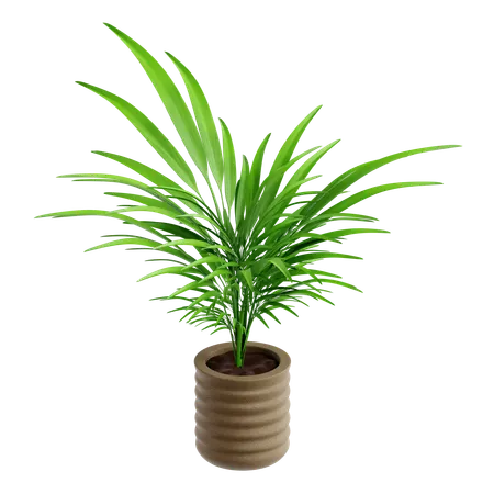 Indoor Plant  3D Icon