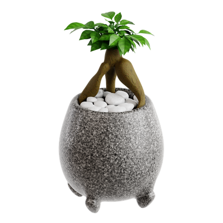 Indoor Plant  3D Icon