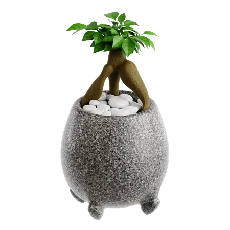 Indoor Plant  3D Icon