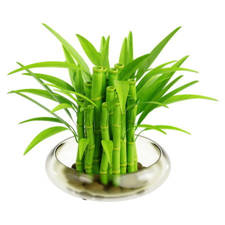 Indoor Plant  3D Icon