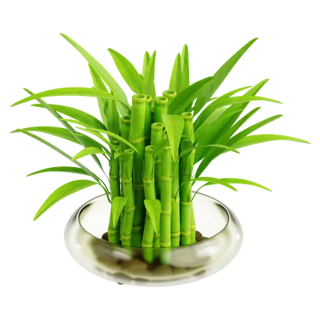 Indoor Plant  3D Icon