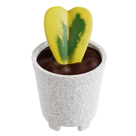 Indoor Plant  3D Icon