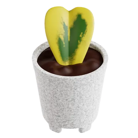 Indoor Plant  3D Icon