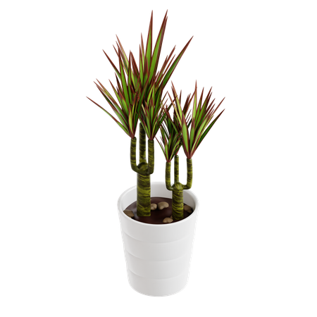 Indoor Plant  3D Icon