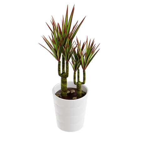 Indoor Plant  3D Icon