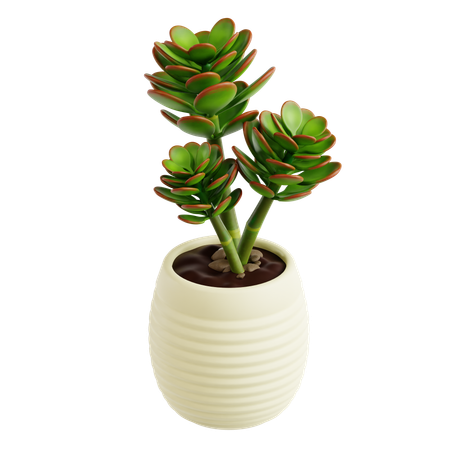 Indoor Plant  3D Icon