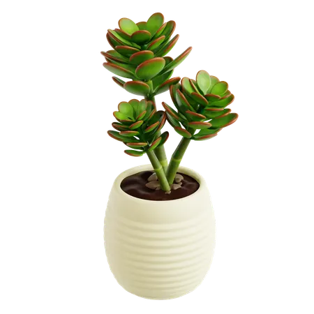 Indoor Plant  3D Icon