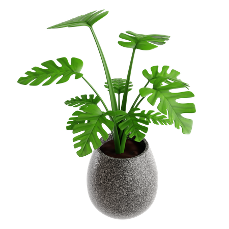 Indoor Plant  3D Icon