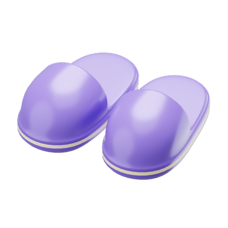 Indoor Shoes  3D Icon