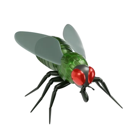 Fly In Transparent Background 3 D Illustration 3D Icon