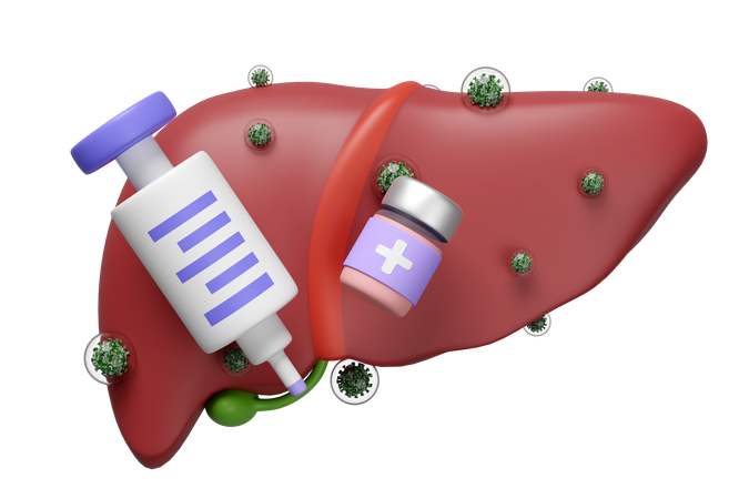 Infection par le virus de l'hépatite  3D Icon