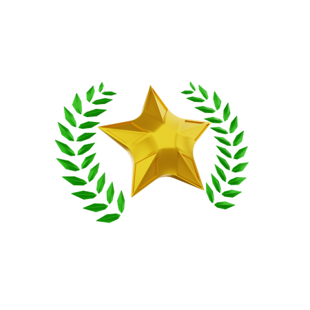 Insignia de estrella  3D Icon