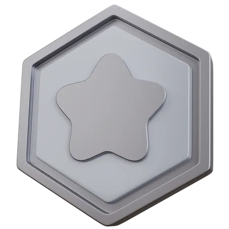 Insignia de estrella plateada  3D Icon