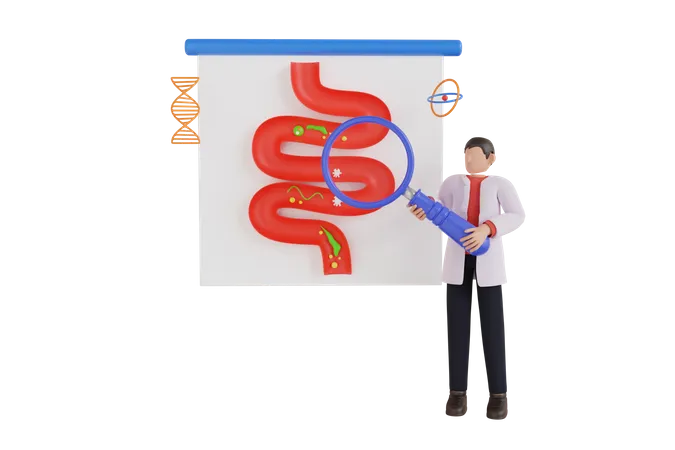 Inspeção médica do estômago pelo médico gastroenterologista  3D Illustration