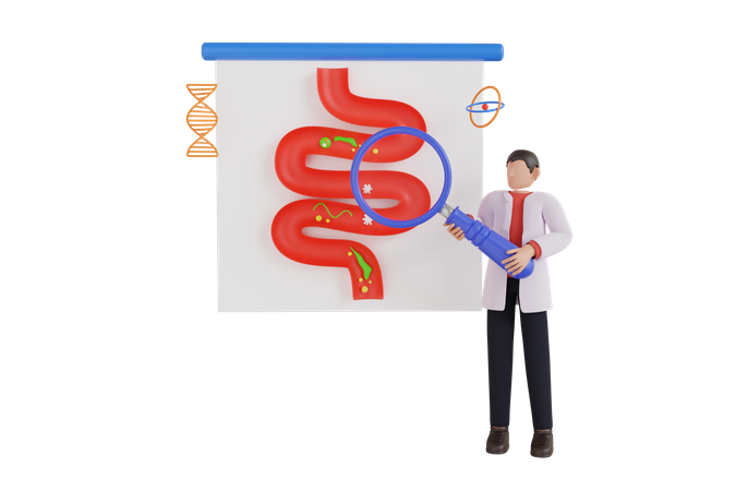 Inspección médica del estómago por un médico gastroenterólogo.  3D Illustration