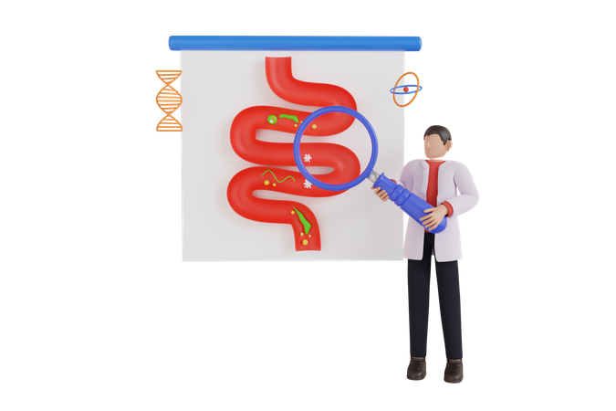 Inspección médica del estómago por un médico gastroenterólogo.  3D Icon