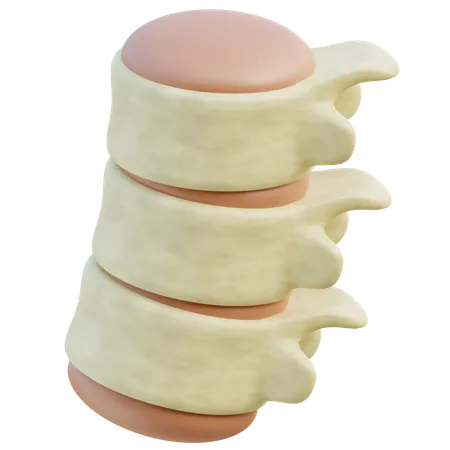 A 3 D Render Showing A Segment Of The Vertebral Column With Intervertebral Discs Emphasizing Spinal Anatomy 3D Icon