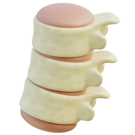 Intervertebral Discs  3D Icon