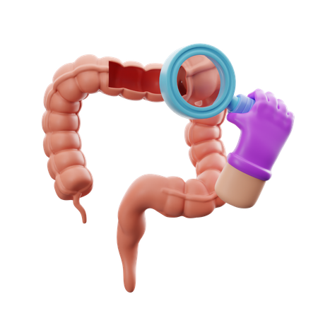 Intestinal medical checkup  3D Icon