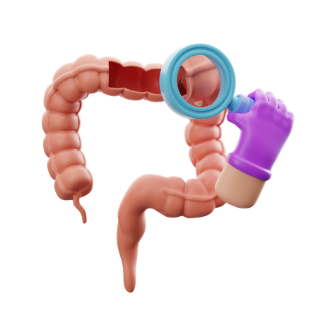 Intestinal medical checkup  3D Icon